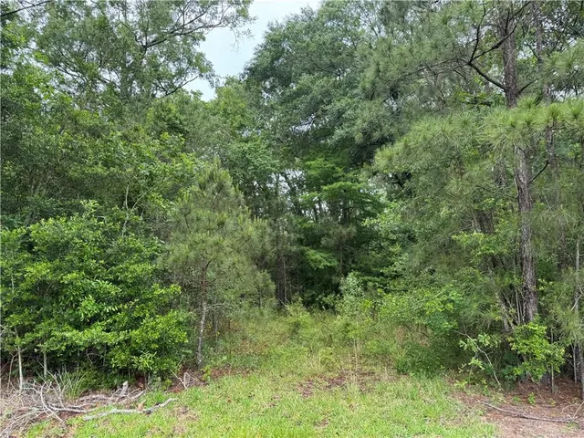 $30,000 | Tbd Woodland Drive, Oakdale, LA 71463