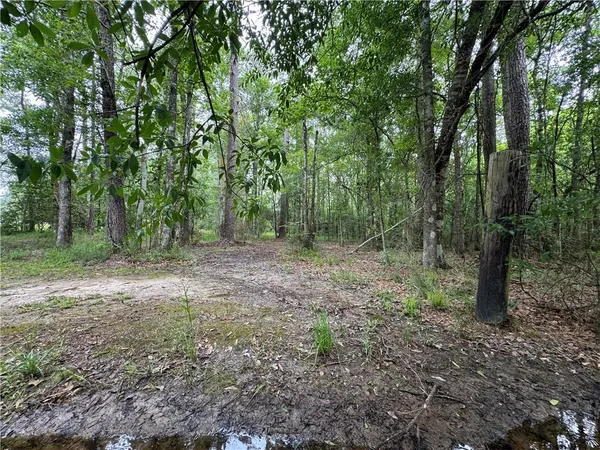 $30,000 | Tbd Woodland Drive, Oakdale, LA 71463