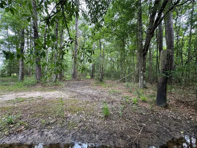$30,000 | Tbd Woodland Drive, Oakdale, LA 71463
