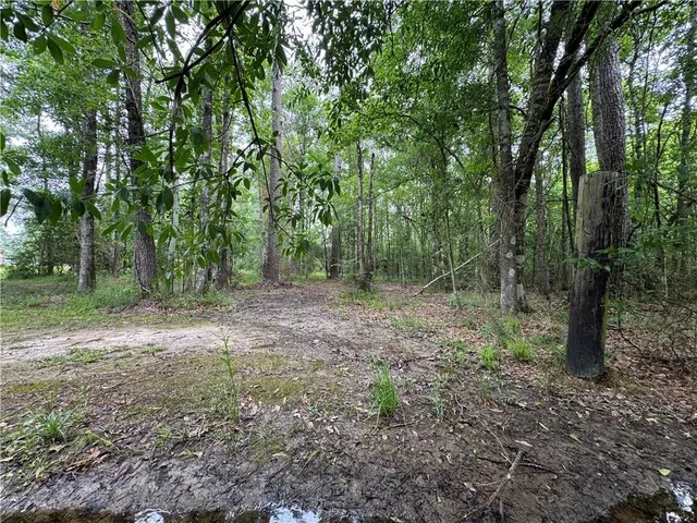 $30,000 | Tbd Woodland Drive, Oakdale, LA 71463