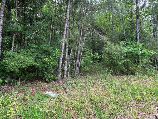 $30,000 | Tbd Woodland Drive, Oakdale, LA 71463