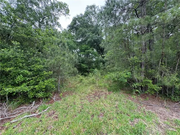 $30,000 | Tbd Woodland Drive, Oakdale, LA 71463