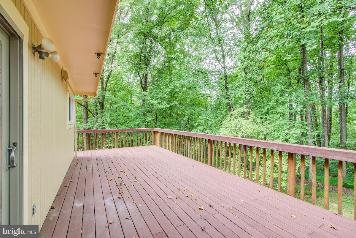 14813 Stonegate Terrace Silver Spring, MD 20905 - Photo 36 of 42 Gallery Image 36
