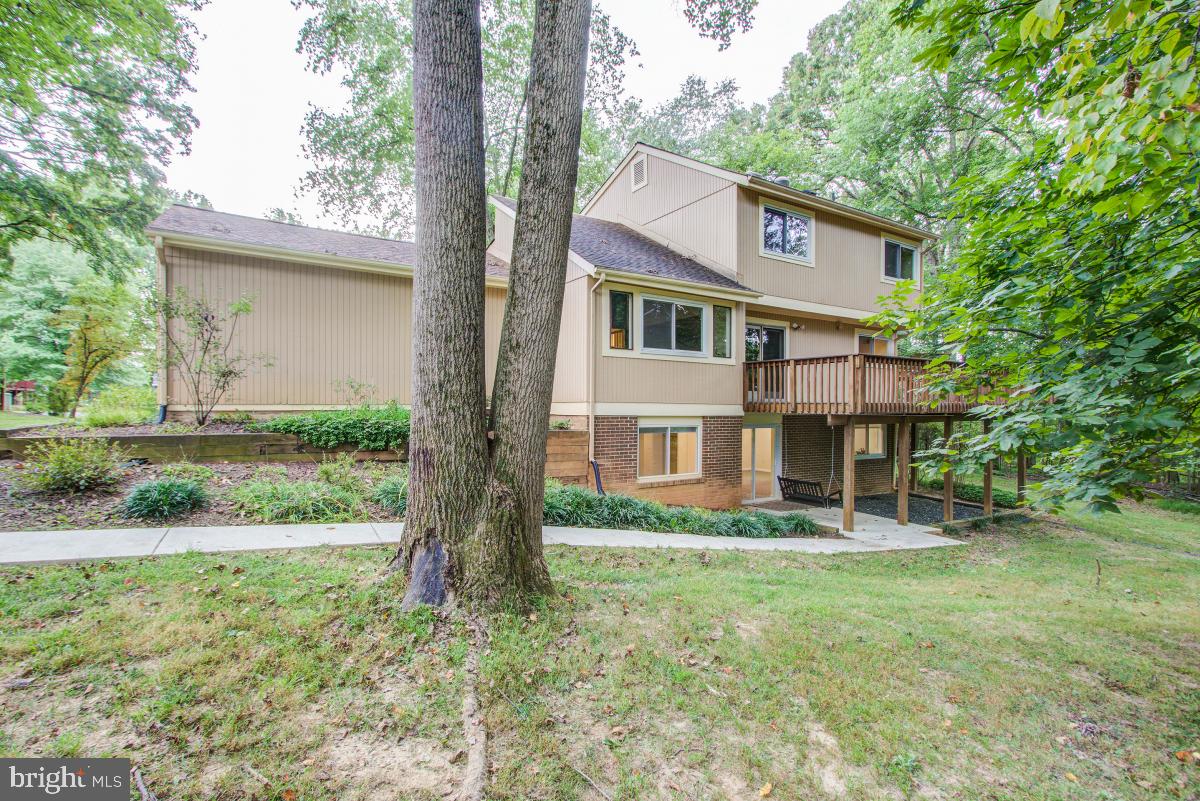 14813 Stonegate Terrace Silver Spring, MD 20905 - Photo 39 of 42 Gallery Image 39