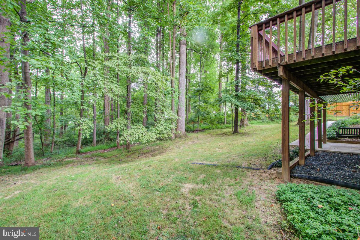 14813 Stonegate Terrace Silver Spring, MD 20905 - Photo 40 of 42 Gallery Image 40