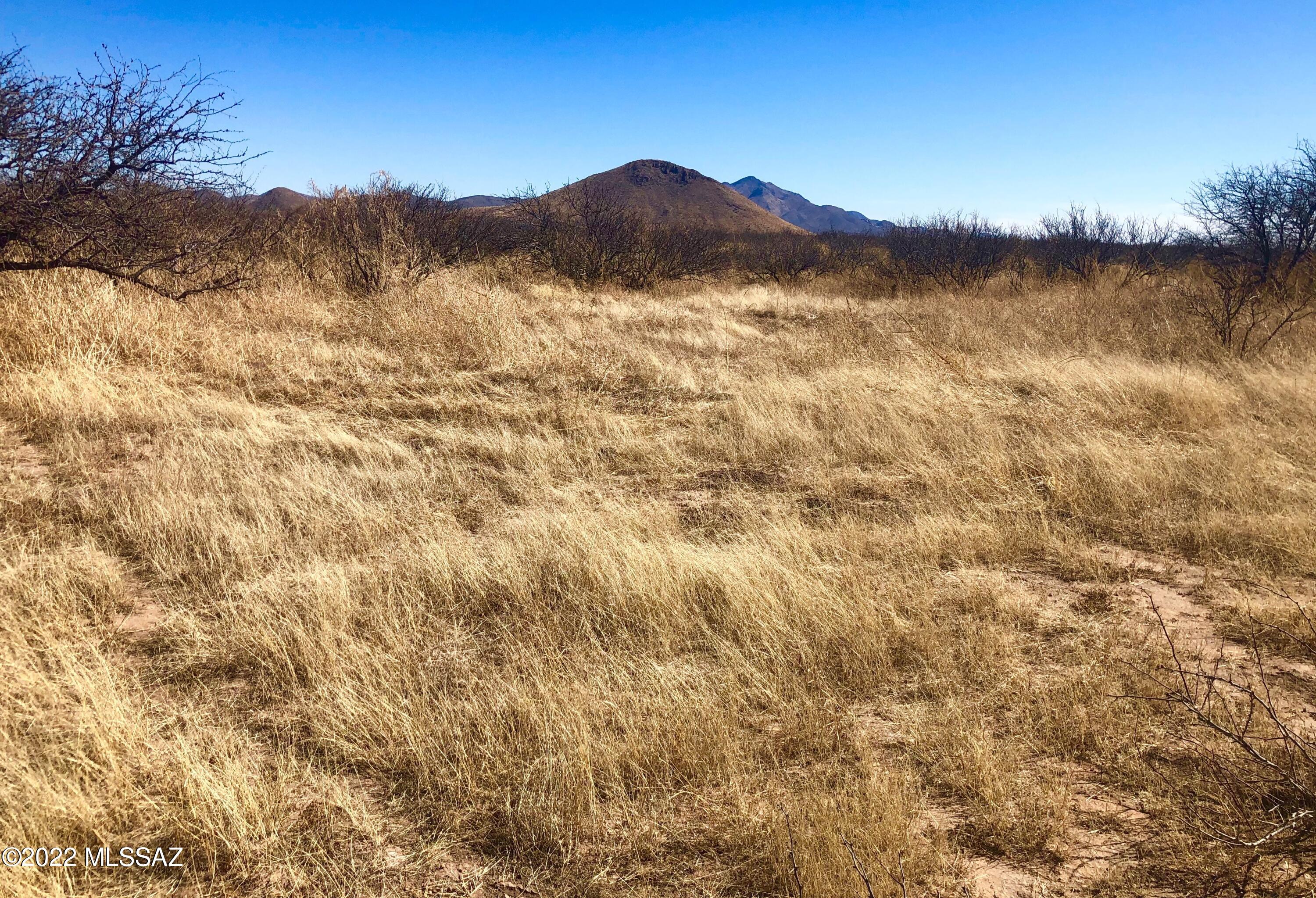 5.11-ac North Rucker Canyon Road Elfrida, AZ 85610 - Photo 22 of 50