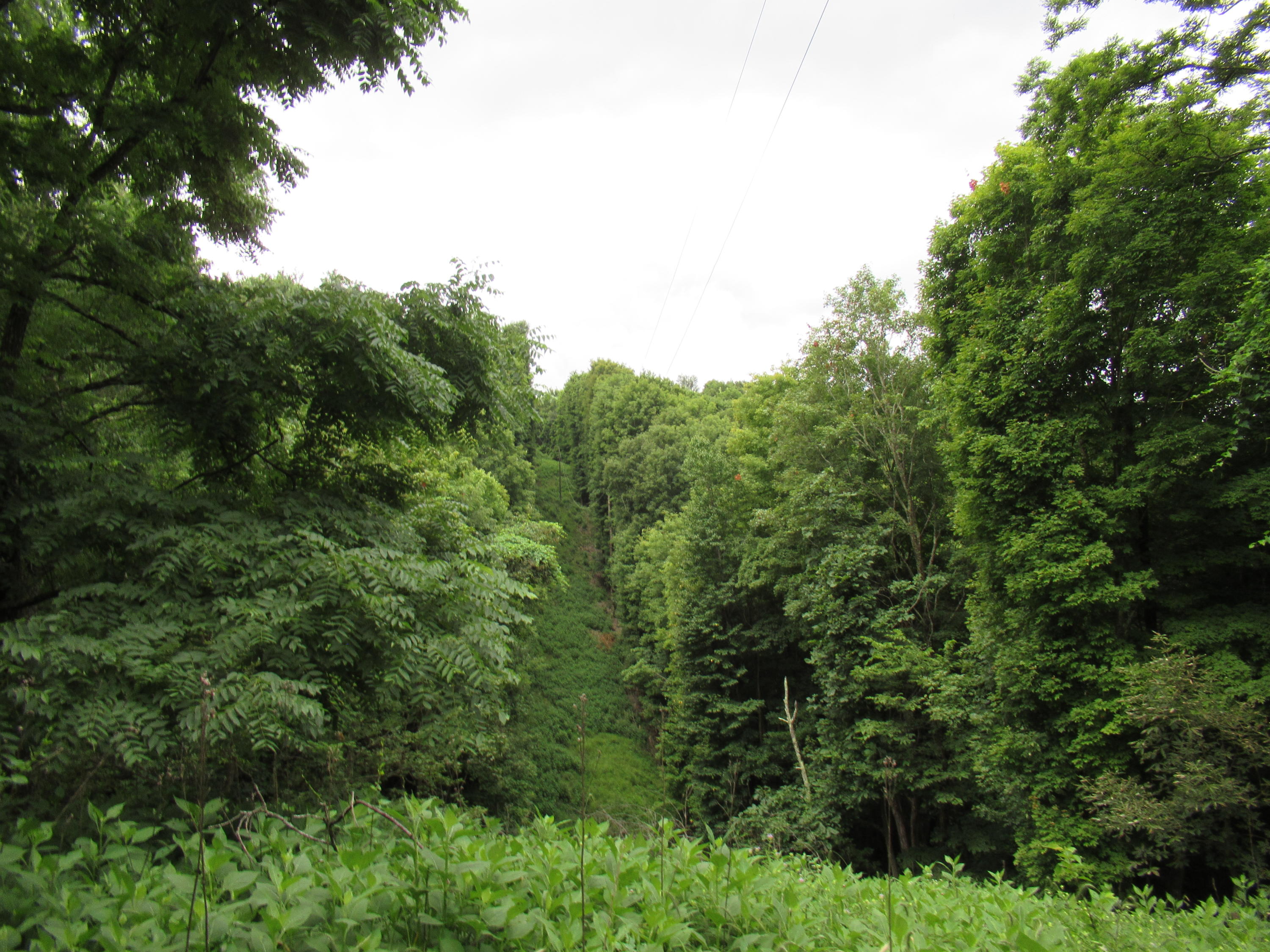 Knobbs Rd Union Union, WV 24983 - Photo 27 of 47 Gallery Image 27