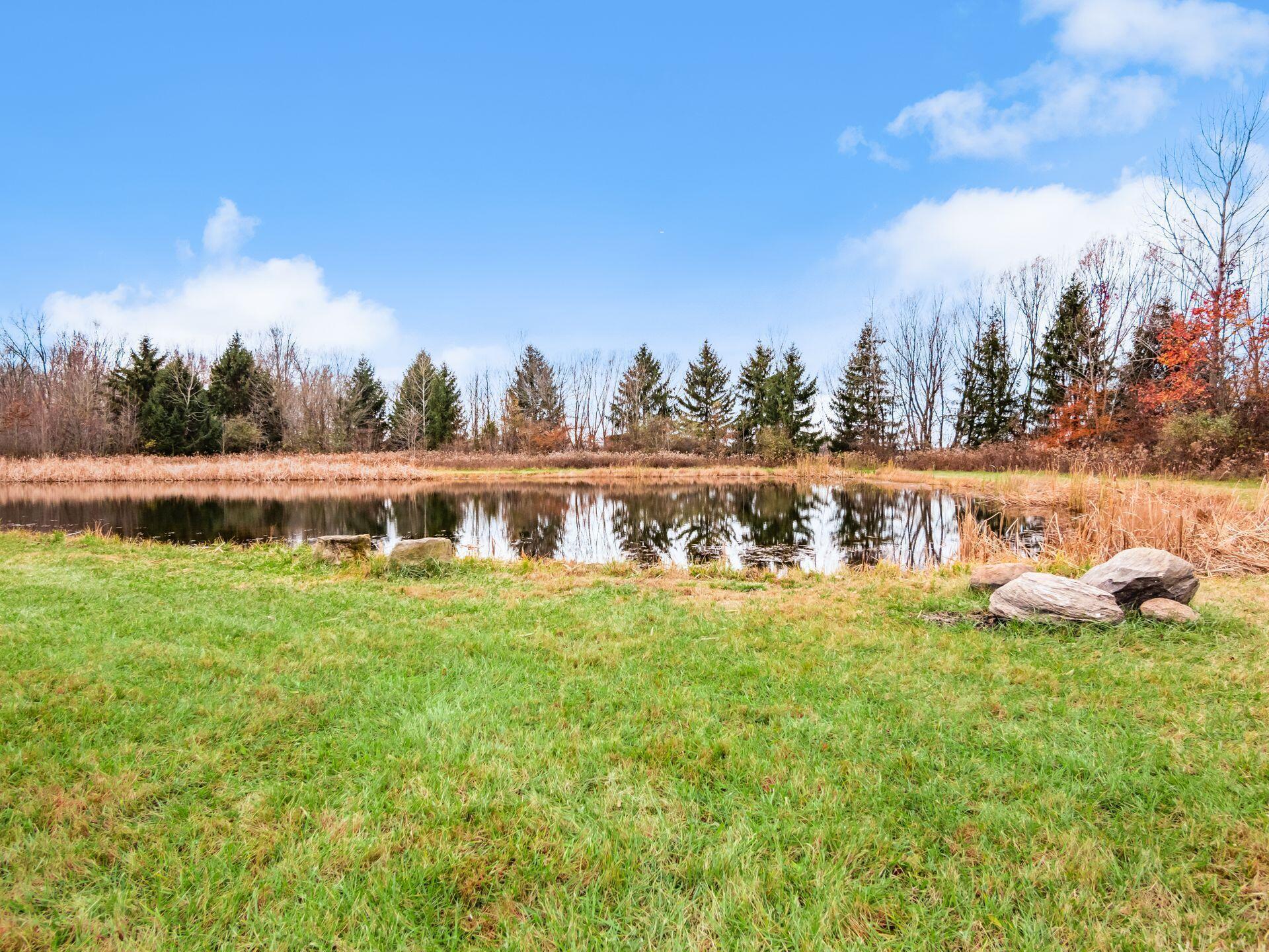 2218 Green Cook Road Galena, OH 43021 - Photo 78 of 86 stocked pond