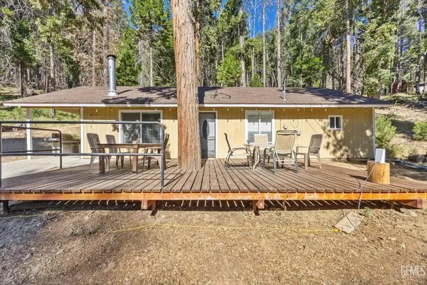 a view of a backyard with a large tree