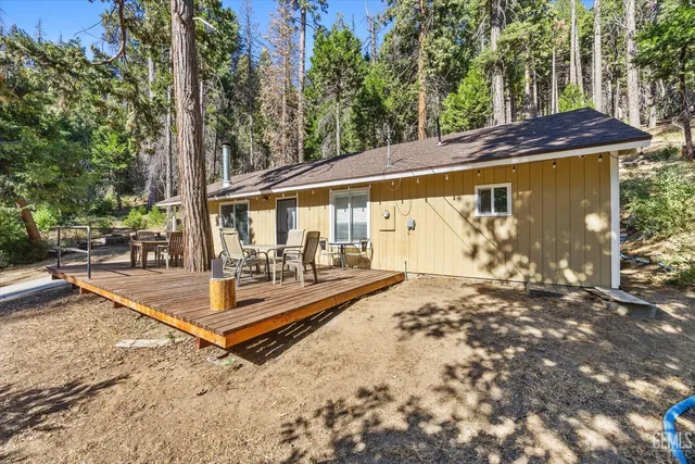 a view of a backyard with a large tree