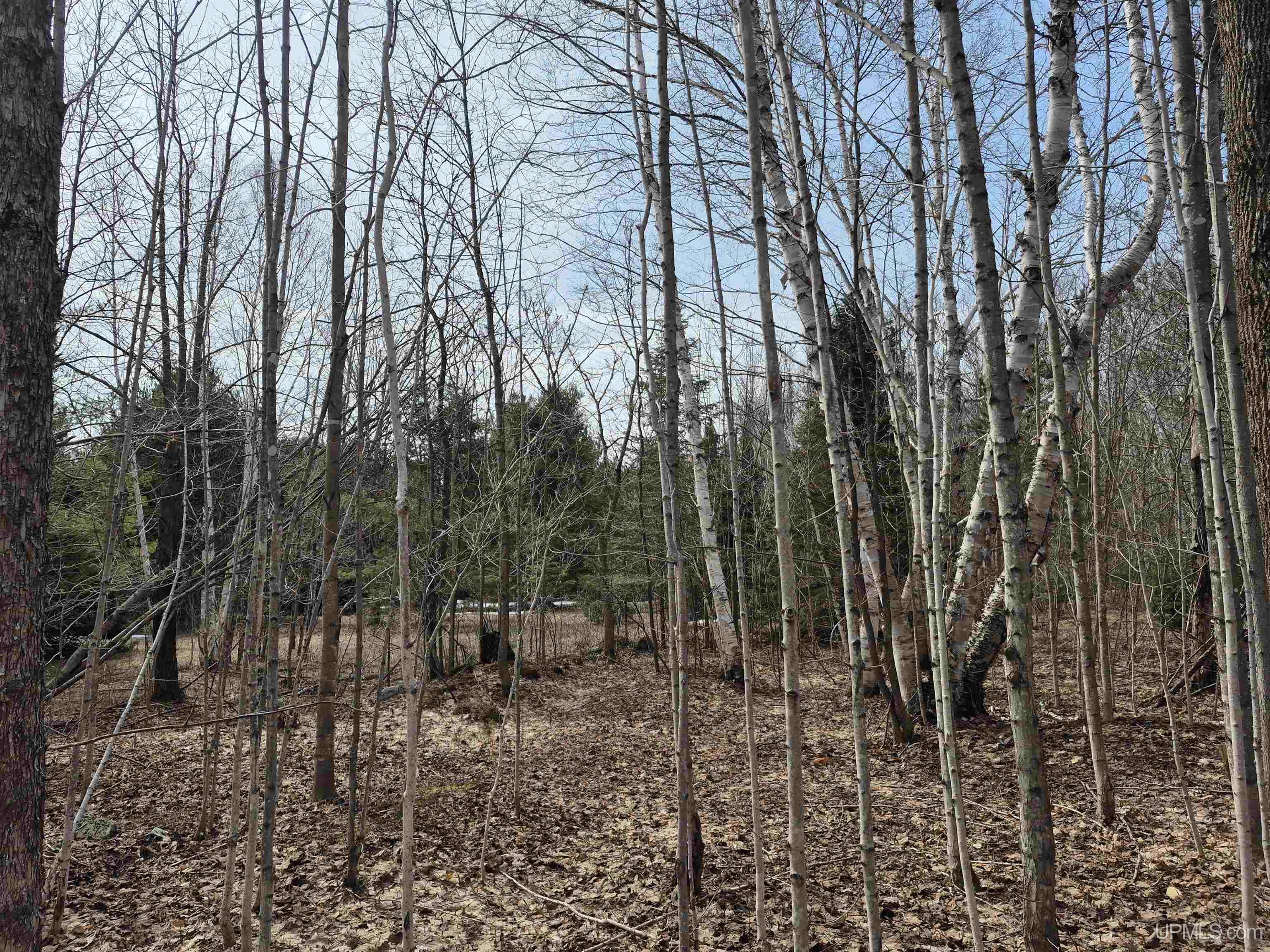 East 20 Quarry Road Gulliver, MI 49840 - Photo 21 of 47