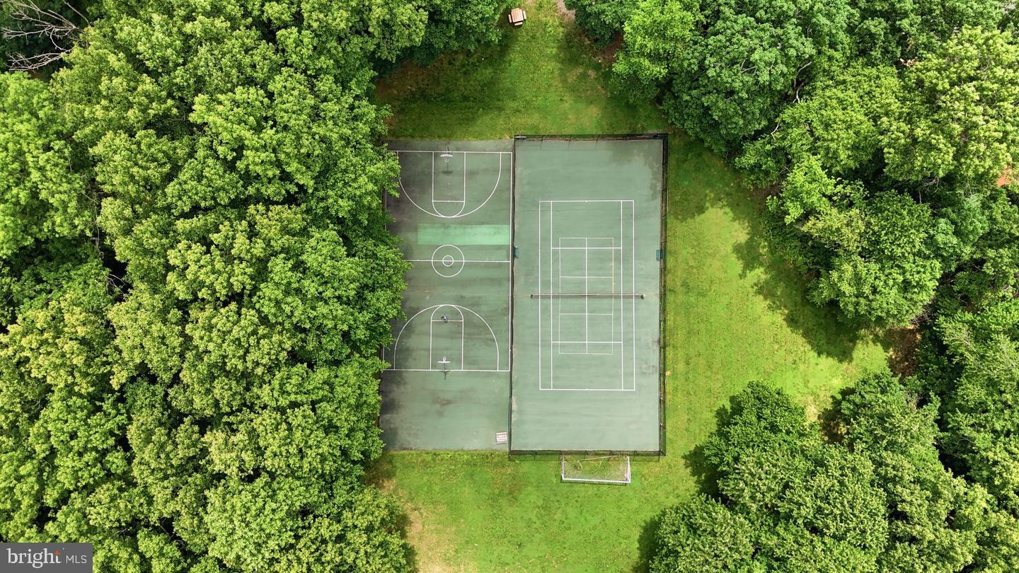 11260 Chestnut Grove Square, Unit 337 Reston, VA 20190 - Photo 67 of 82 Hidden courts amidst lush greenery.