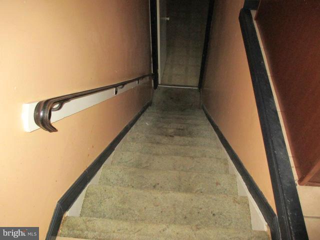 7757 Notley Road Pasadena, MD 21122 - Photo 16 of 20 Basement