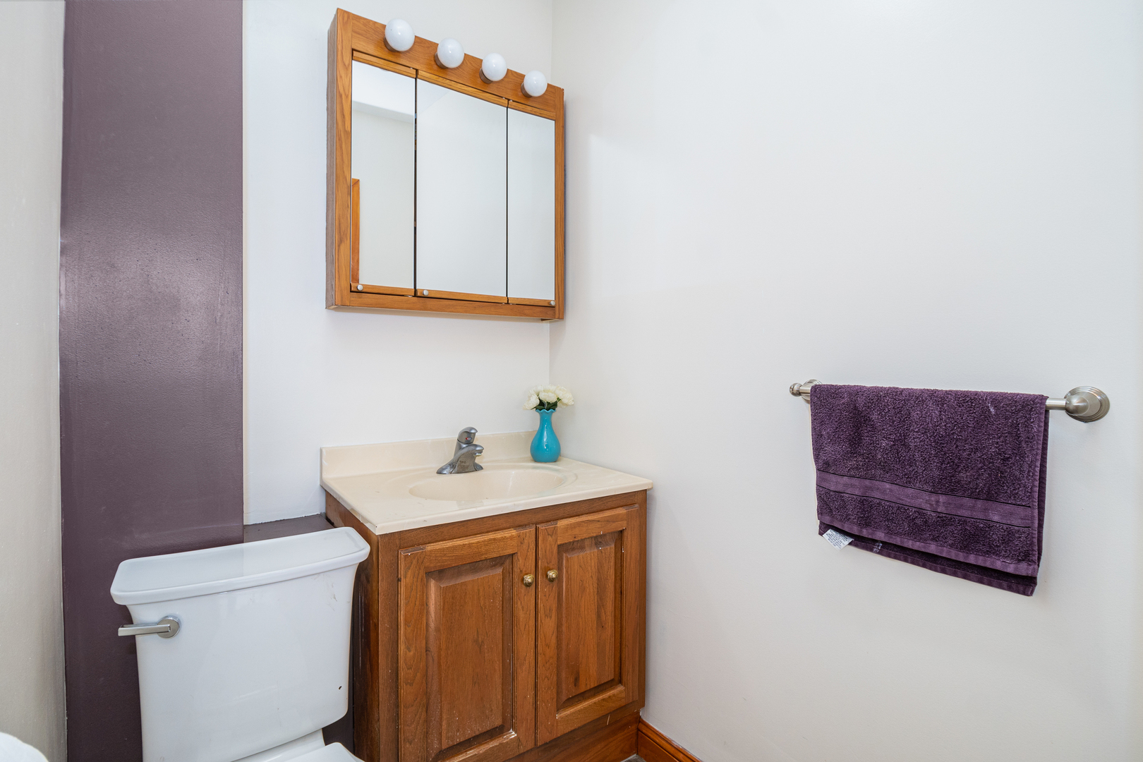 818 Clinton Street Lockport, IL 60441 - Photo 16 of 23 a bathroom with a sink a toilet and mirror