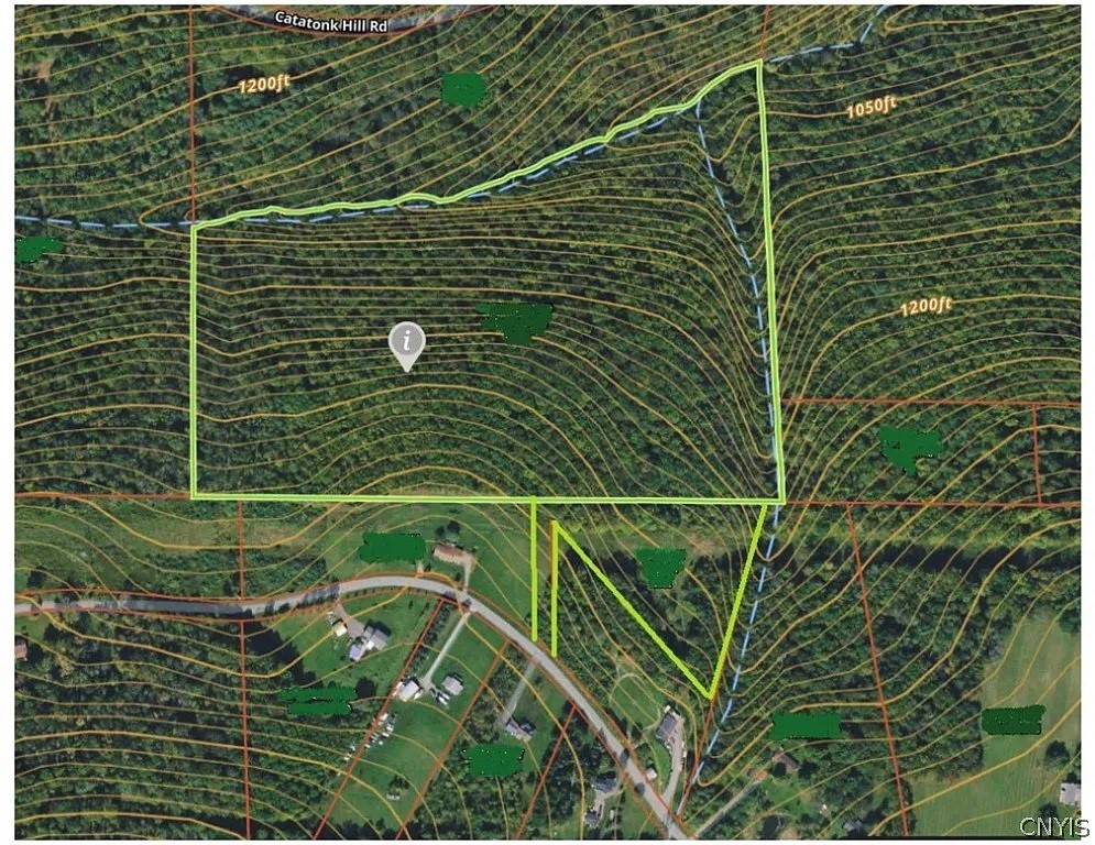 0 Campbell Hill Road Owego, NY 13827 - Photo 6 of 15