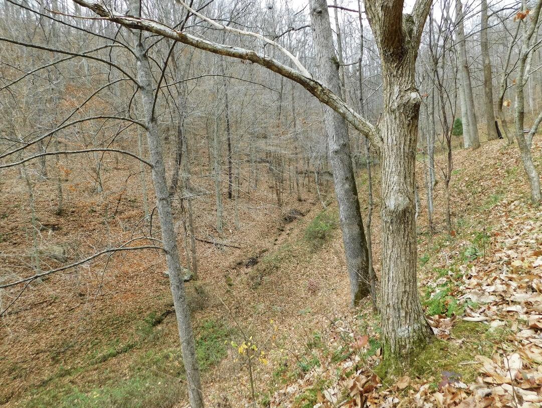 8690 Beattyville Road Jackson, KY 41339 - Photo 113 of 143 9C35D60B-46A3-4A8D-8E2E-47FAE17EC790