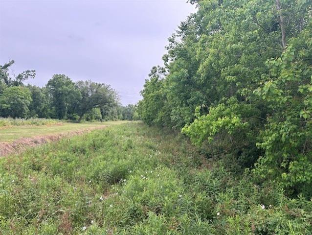 3201 Kelly Road St. Bernard, LA 70085 - Photo 2 of 3