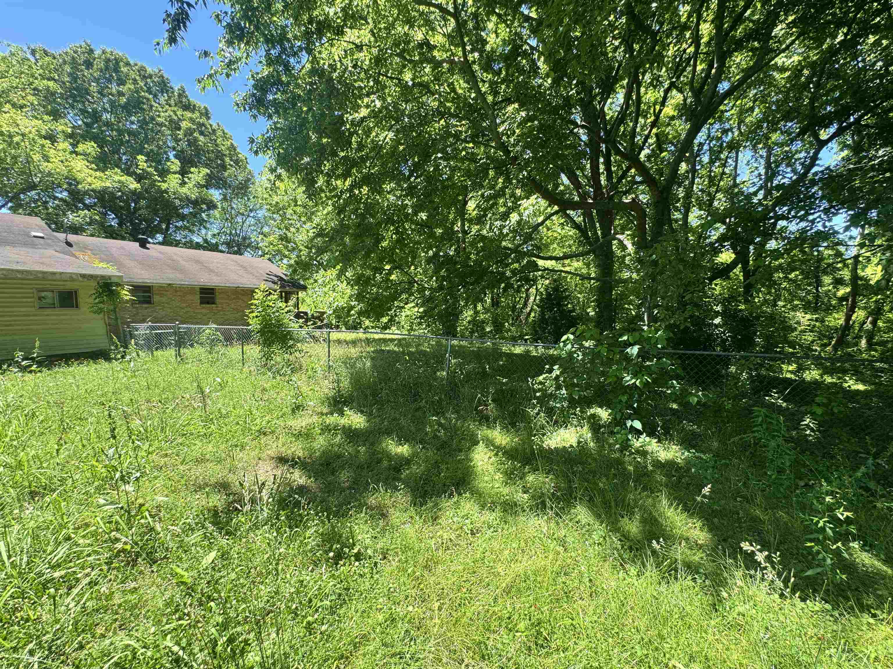 4712 Drummonds Road Drummonds, TN 38023 - Photo 38 of 38 Expansive green space featuring mature trees and a chain-link fence