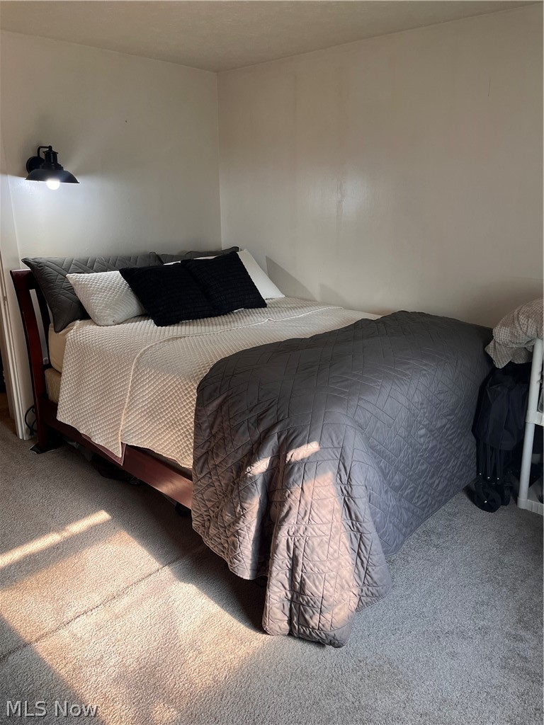 175 Wayne Street Rittman, OH 44270 - Photo 35 of 35 Carpeted bedroom featuring a wall-mounted light fixture and ample natural light