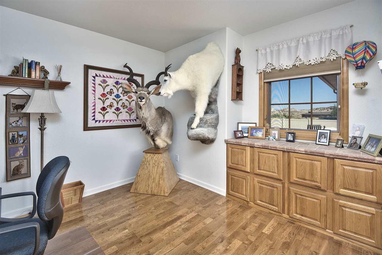 240 Red Rim Drive Grand Junction, CO 81507 - Photo 13 of 18 Gallery Image 13