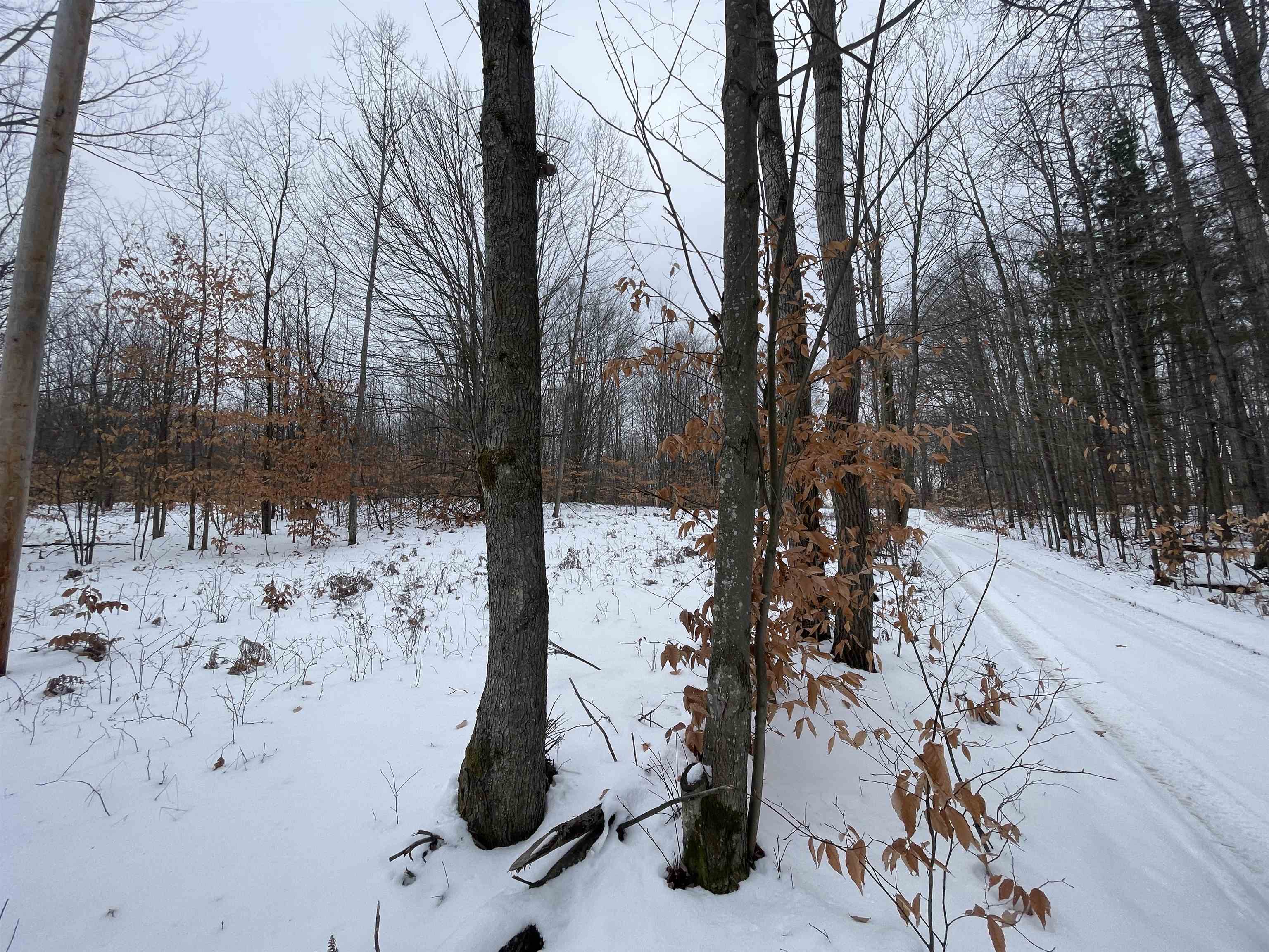 North Turnerville Road Lake City, MI 49651 - Photo 4 of 7