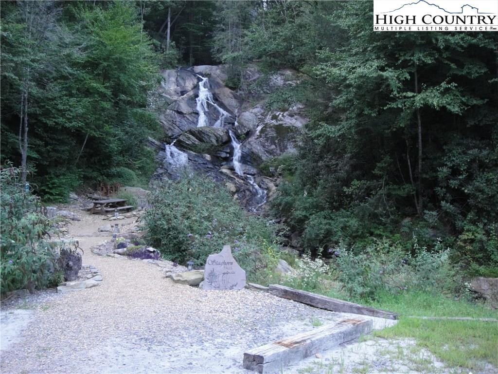 Lot 83 Buck Mountain Road Purlear, NC 28665 - Photo 19 of 30 a view of a dry yard with trees and bushes
