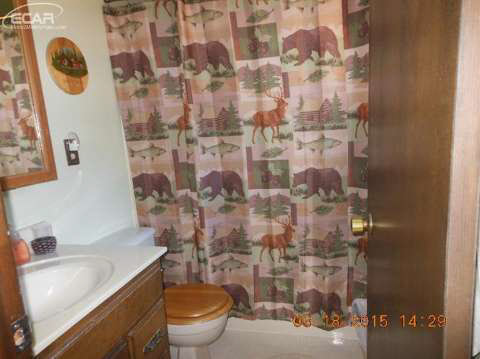 6166 Pinkerton Road Vassar, MI 48768 - Photo 15 of 26 20432820-14.JPG