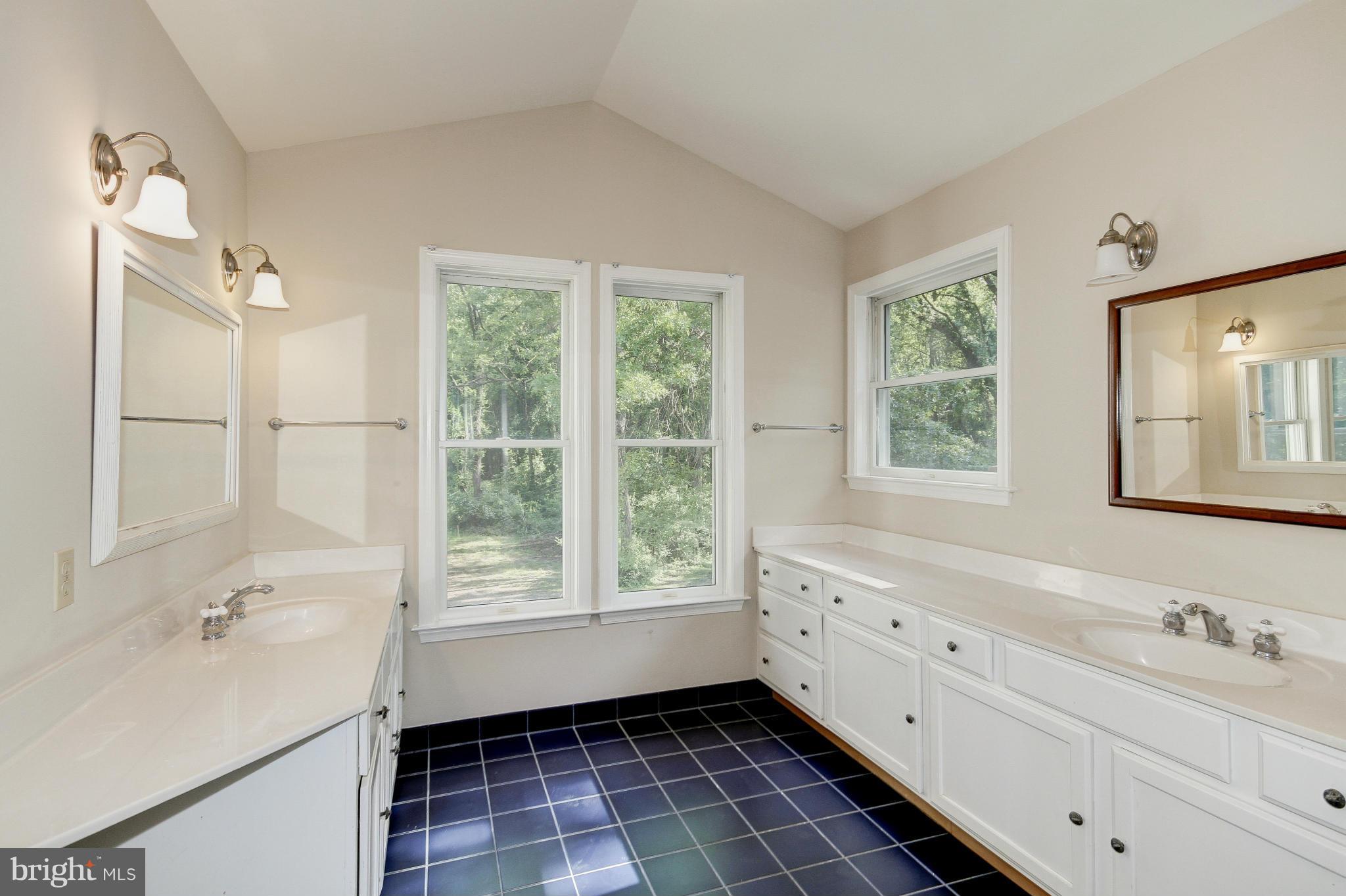 8601 Reservoir Road Fulton, MD 20759 - Photo 18 of 30 Spa-Like Master Bath