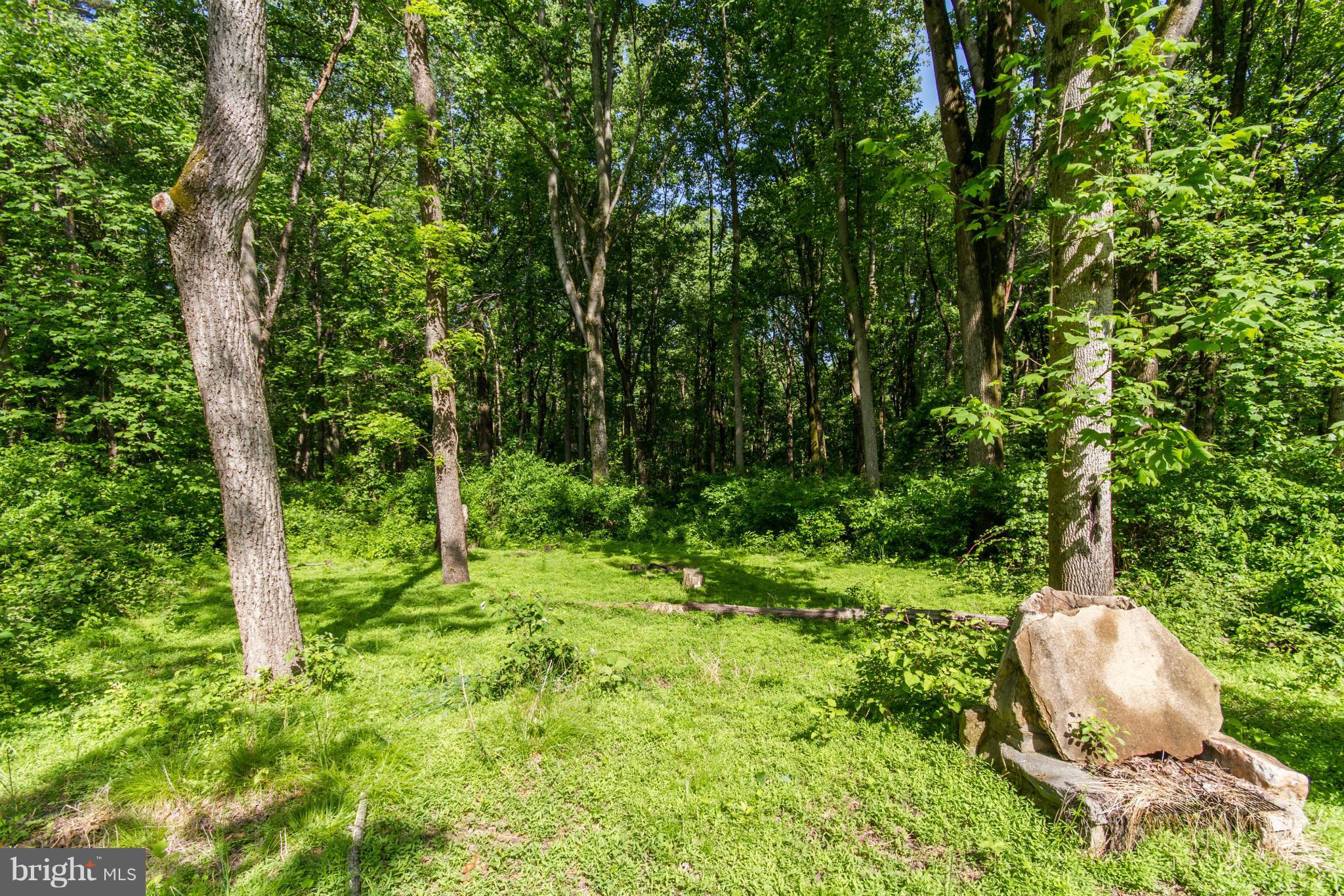 8601 Reservoir Road Fulton, MD 20759 - Photo 27 of 30 Scenic View