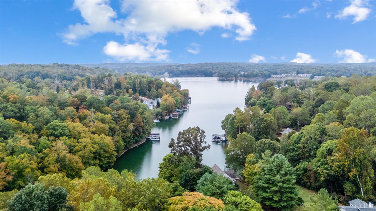 101 Little Creek Road Moneta, VA 24121 - Photo 12 of 76