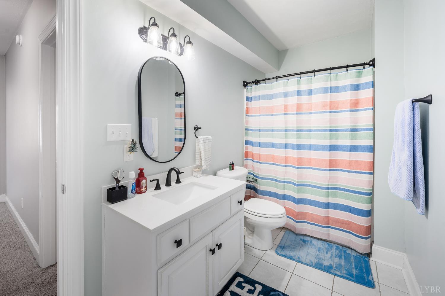 101 Little Creek Road Moneta, VA 24121 - Photo 62 of 76 a bathroom with a sink a toilet and a mirror