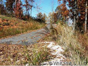 Lot 203 Big Rock Road Bostic, NC 28018 - Photo 9 of 12 a view of a dry yard with trees