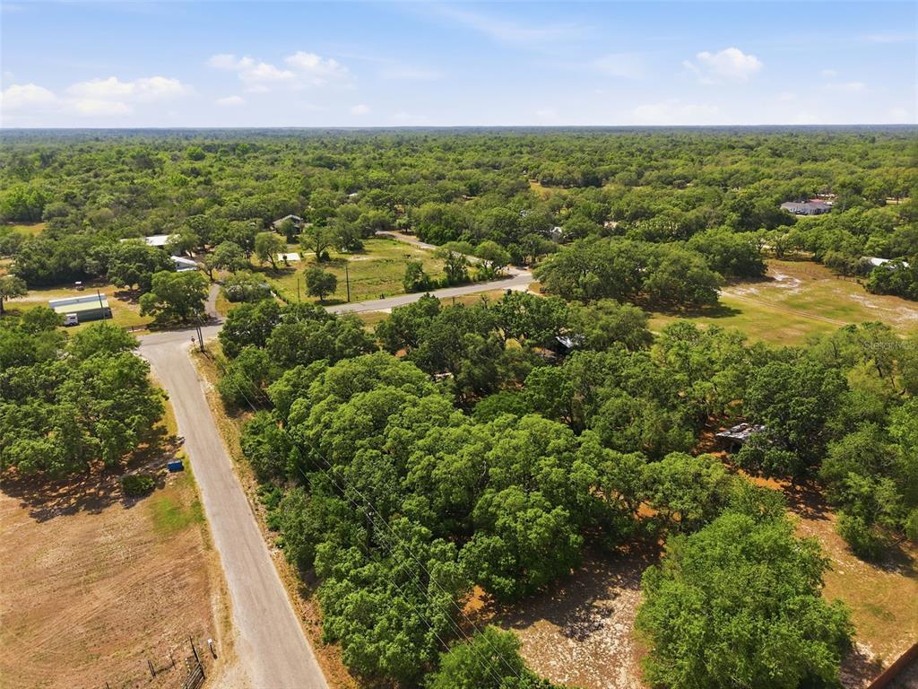 15620 Hays Road Spring Hill, FL 34610 - Photo 86 of 87