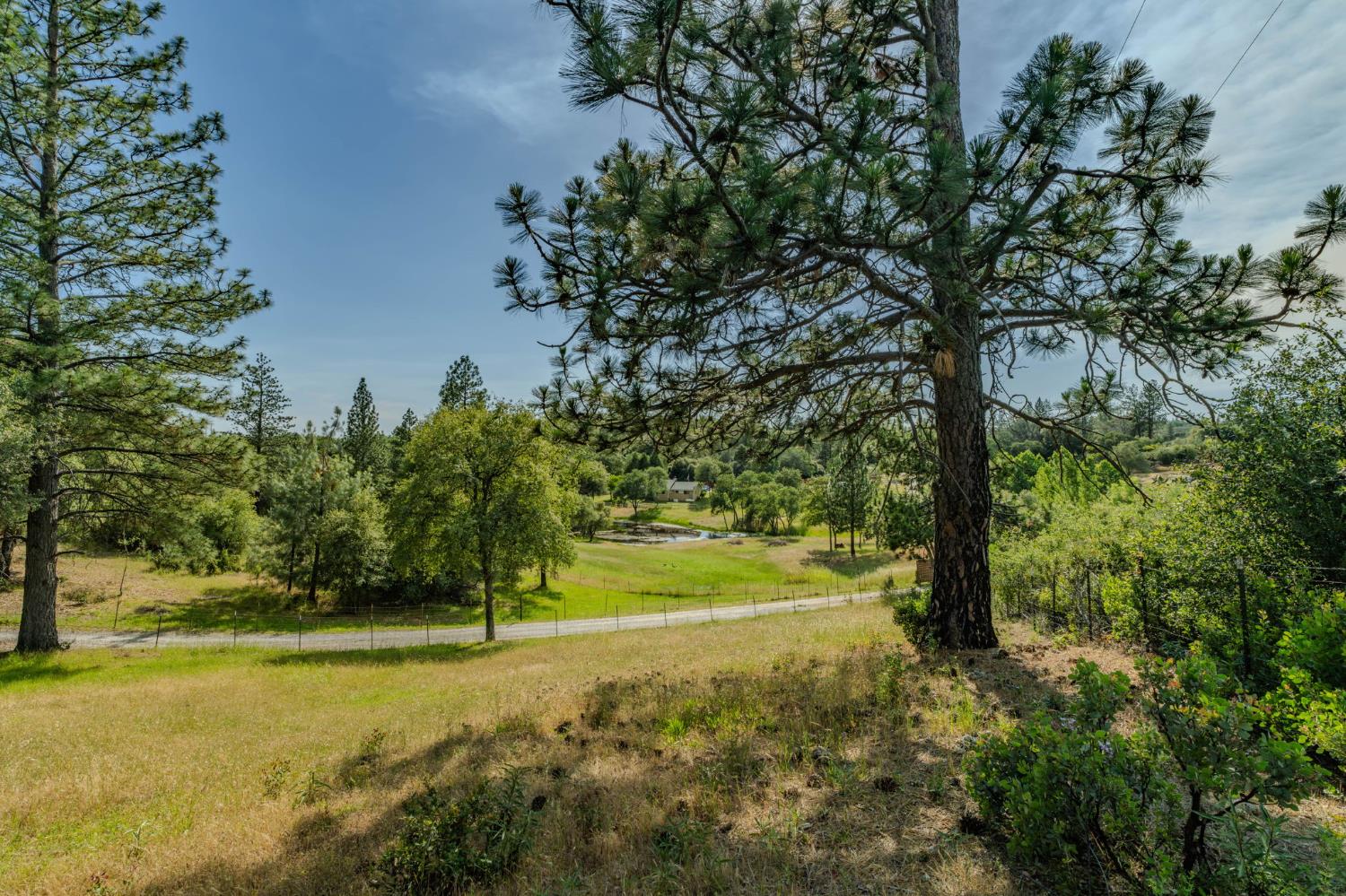 6216 Trout Lane Mountain Ranch, CA 95246 - Photo 10 of 39 a view of yard