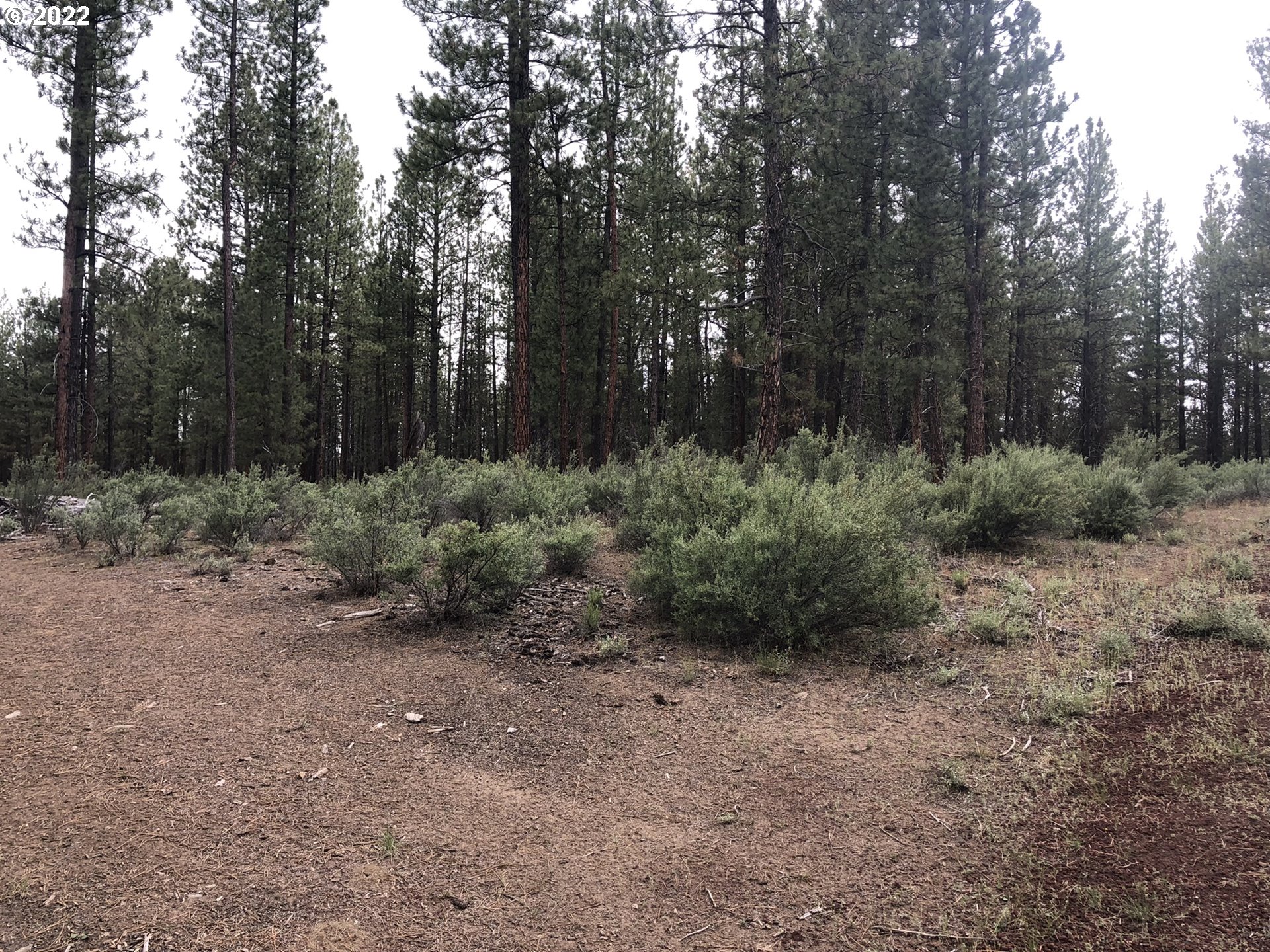 Corbell Drive, Unit 400 Chiloquin, OR 97624 - Photo 3 of 10 a view of a forest with trees in the background