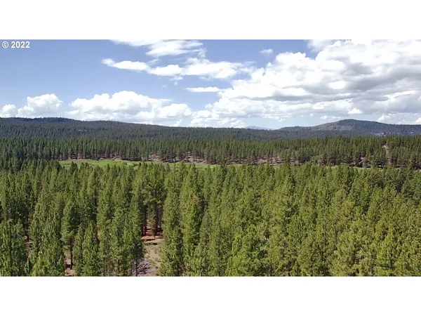 a black and white photo of a lake
