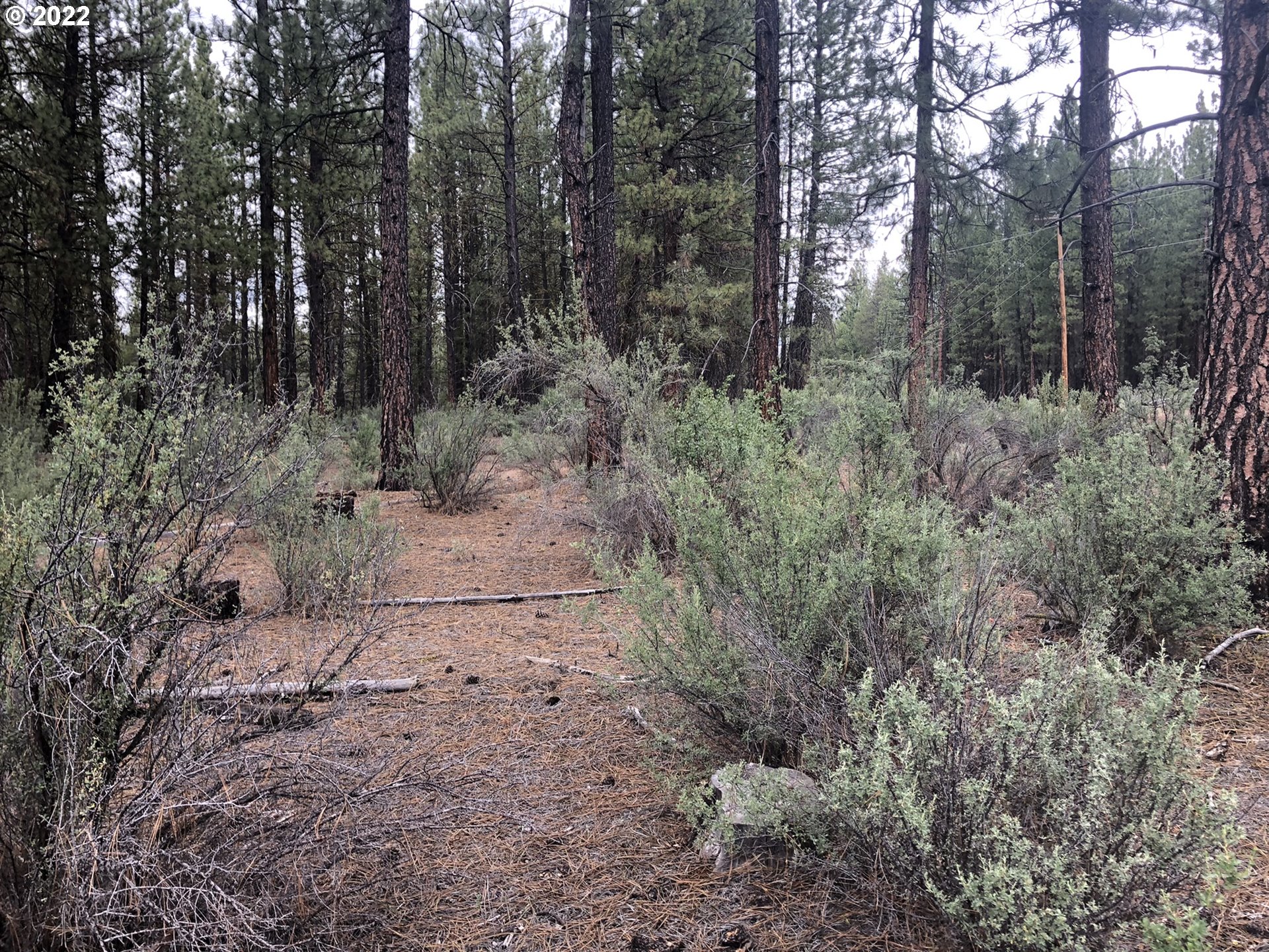 Corbell Drive, Unit 400 Chiloquin, OR 97624 - Photo 5 of 10 a view of a forest with trees in the background