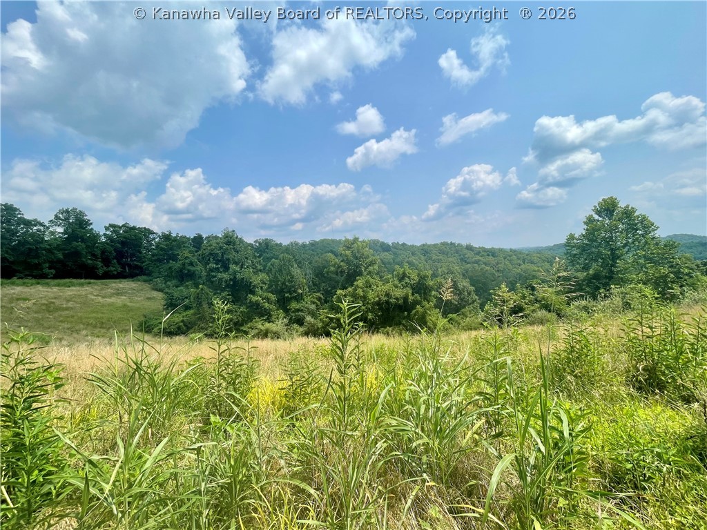 0 Russell Road St. Albans, WV 25177 - Photo 4 of 7 Gallery Image 4