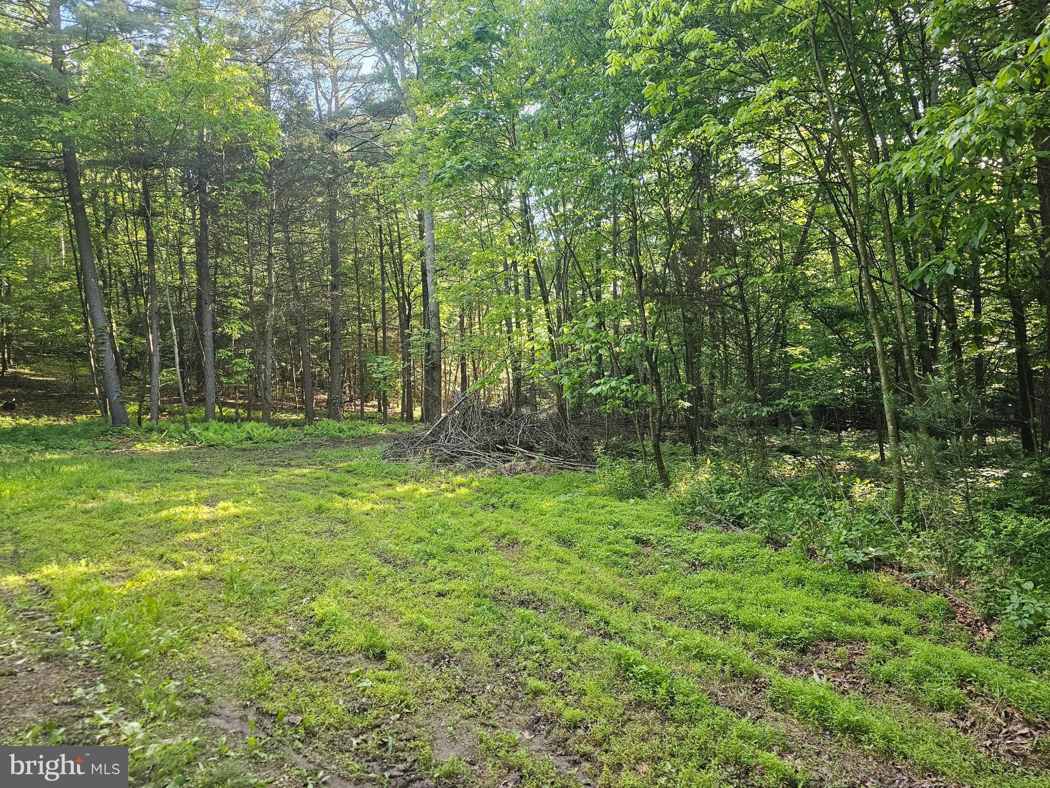 195 Knotty Pine Road Newport, PA 17074 - Photo 1 of 19 Gallery Image 1