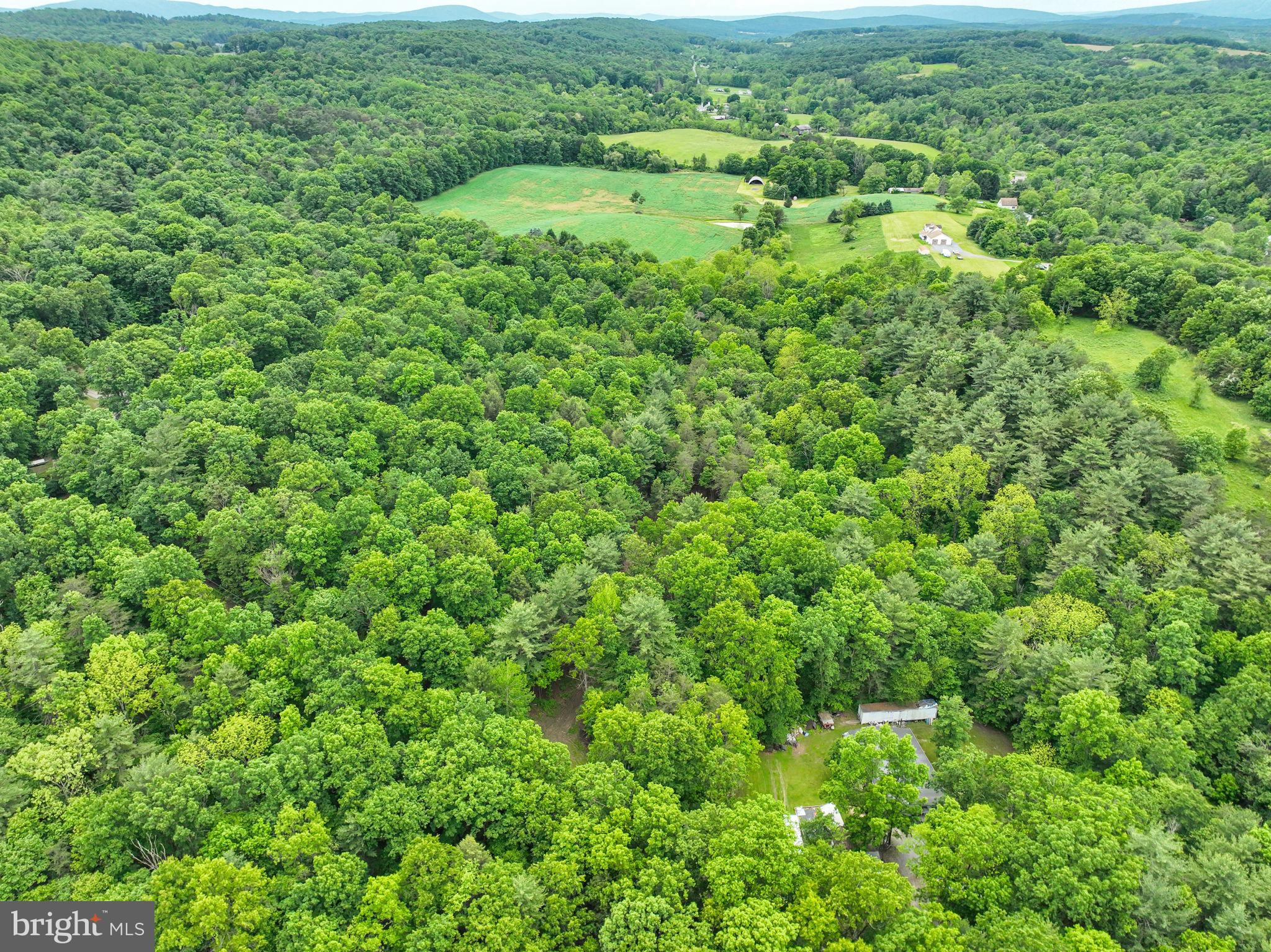 195 Knotty Pine Road Newport, PA 17074 - Photo 12 of 19 Gallery Image 12