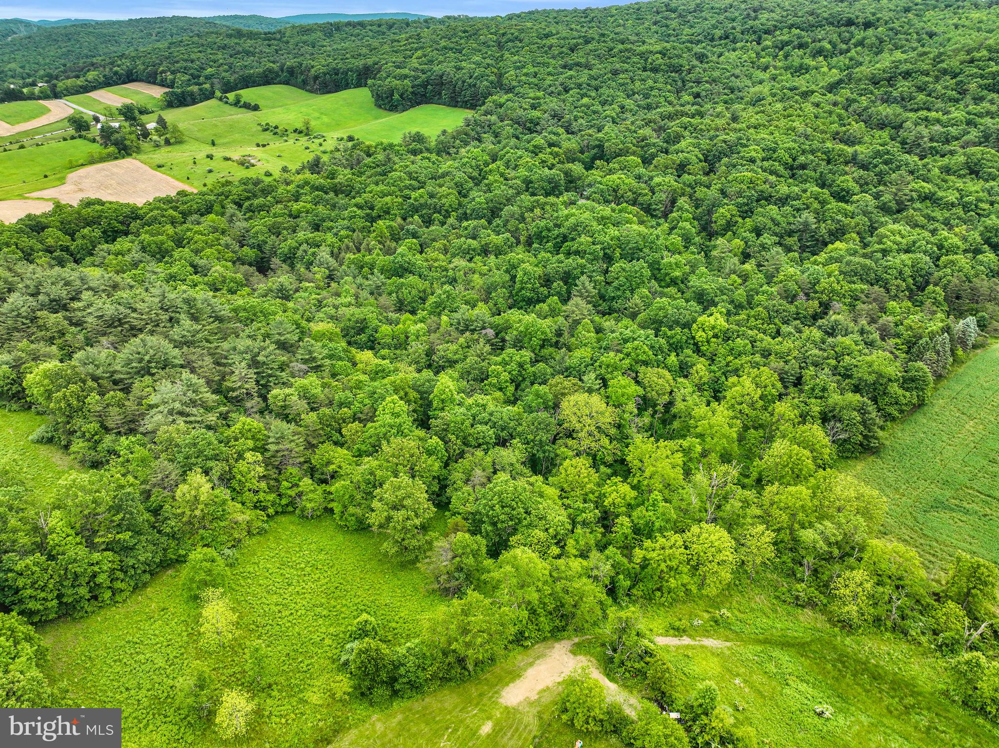 195 Knotty Pine Road Newport, PA 17074 - Photo 18 of 19 Gallery Image 18
