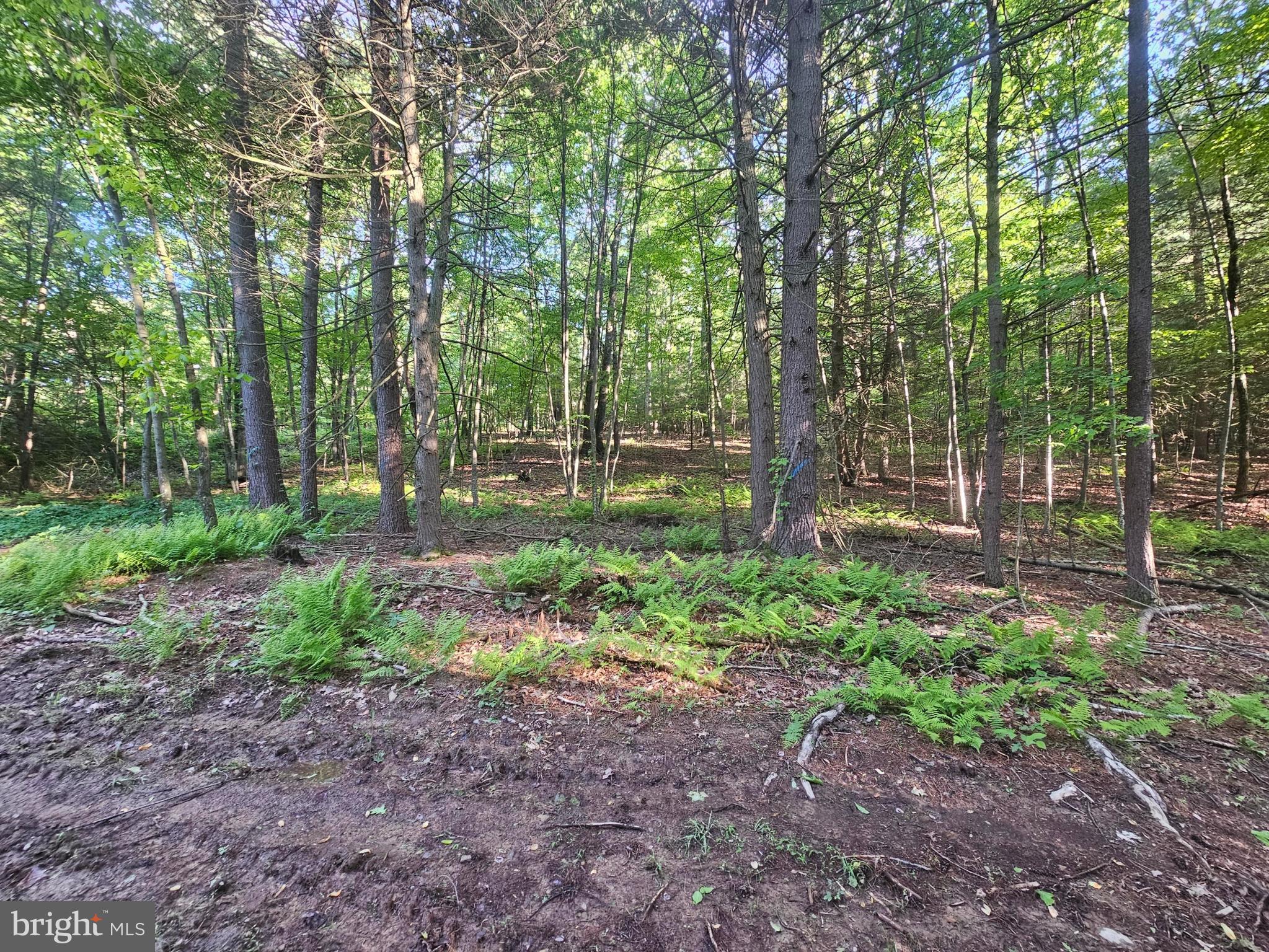 195 Knotty Pine Road Newport, PA 17074 - Photo 2 of 19 Gallery Image 2