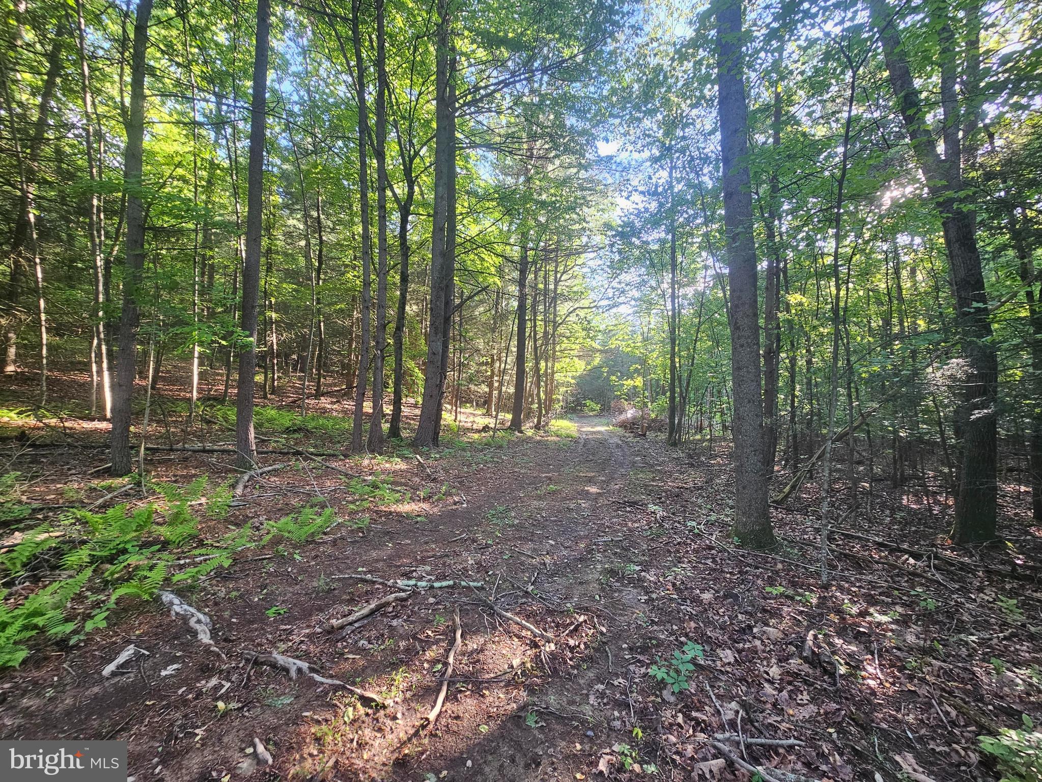 195 Knotty Pine Road Newport, PA 17074 - Photo 3 of 19 Gallery Image 3