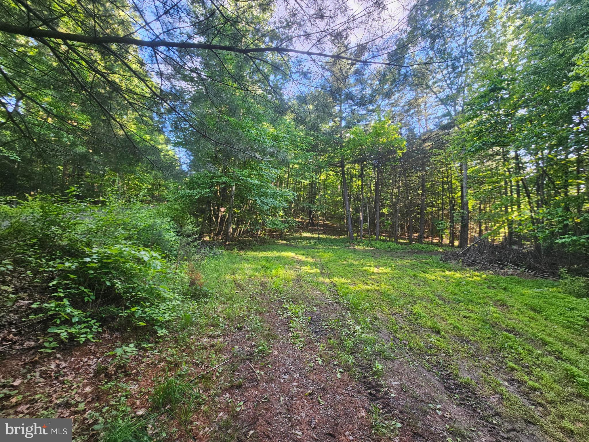 195 Knotty Pine Road Newport, PA 17074 - Photo 4 of 19 Gallery Image 4