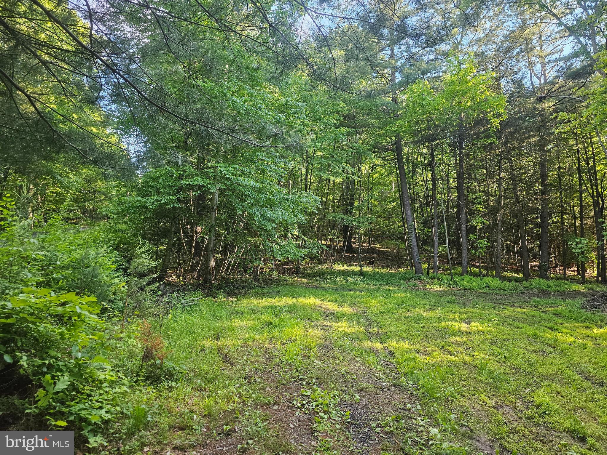 195 Knotty Pine Road Newport, PA 17074 - Photo 5 of 19 Gallery Image 5