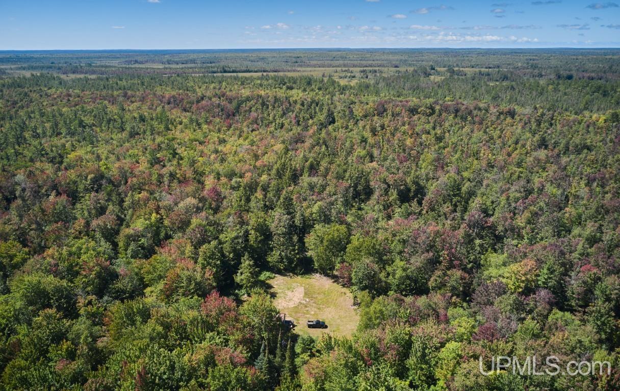454 Creighton Trail Road Shingleton, MI 49884 - Photo 20 of 26