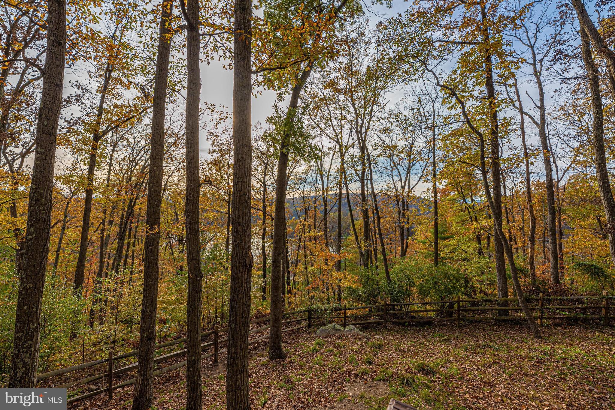 6510 Rimrock Road New Market, MD 21774 - Photo 49 of 74 Gallery Image 49