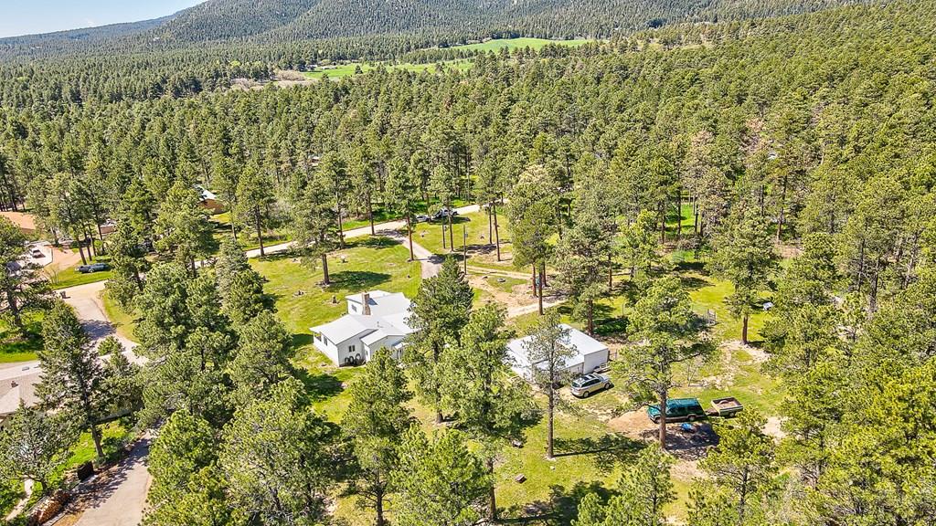8221 Green Tower Lane Rye, CO 81069 - Photo 33 of 40