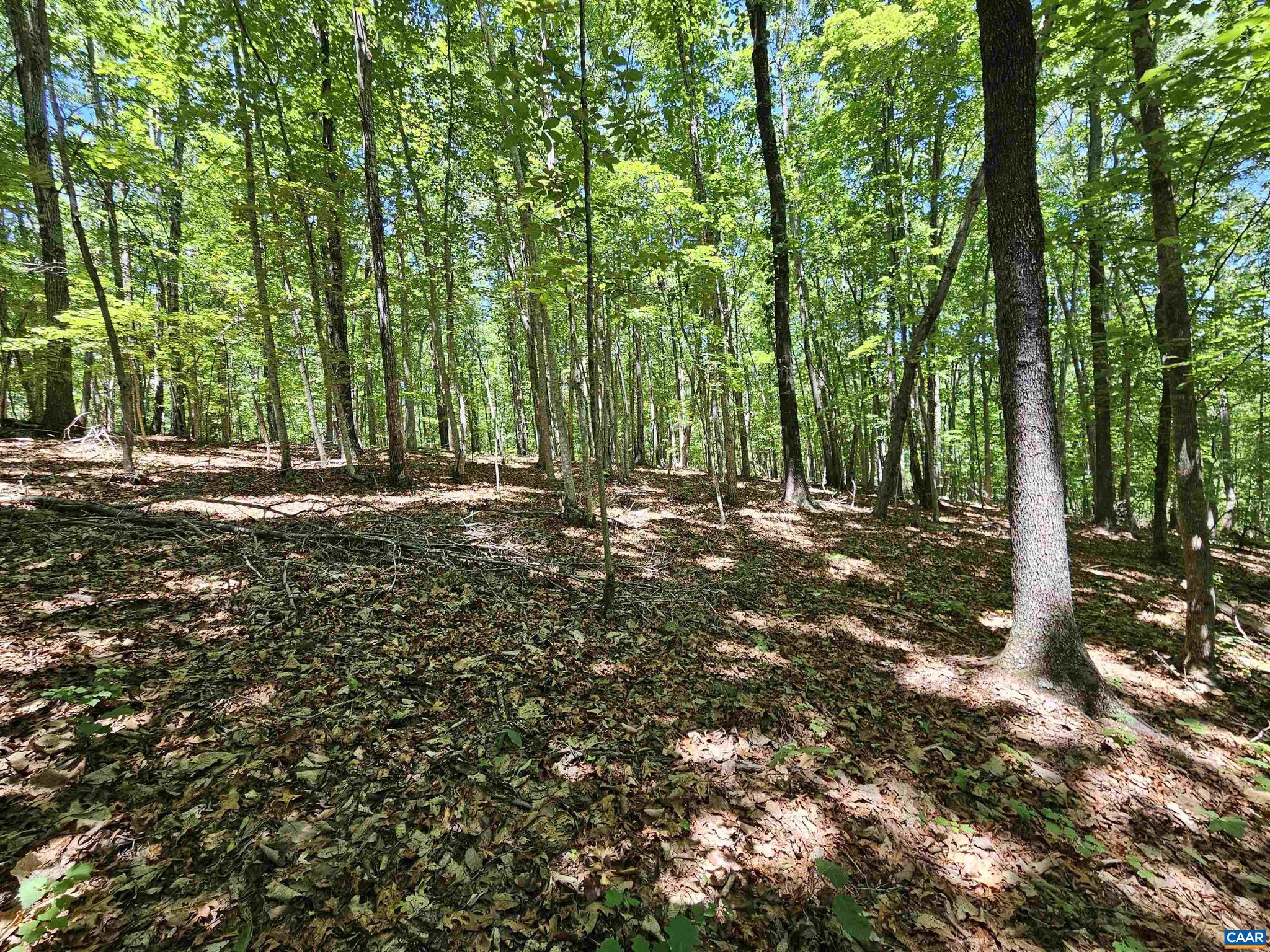 Manteo Road, Unit 2 Buckingham, VA 23921 - Photo 15 of 19