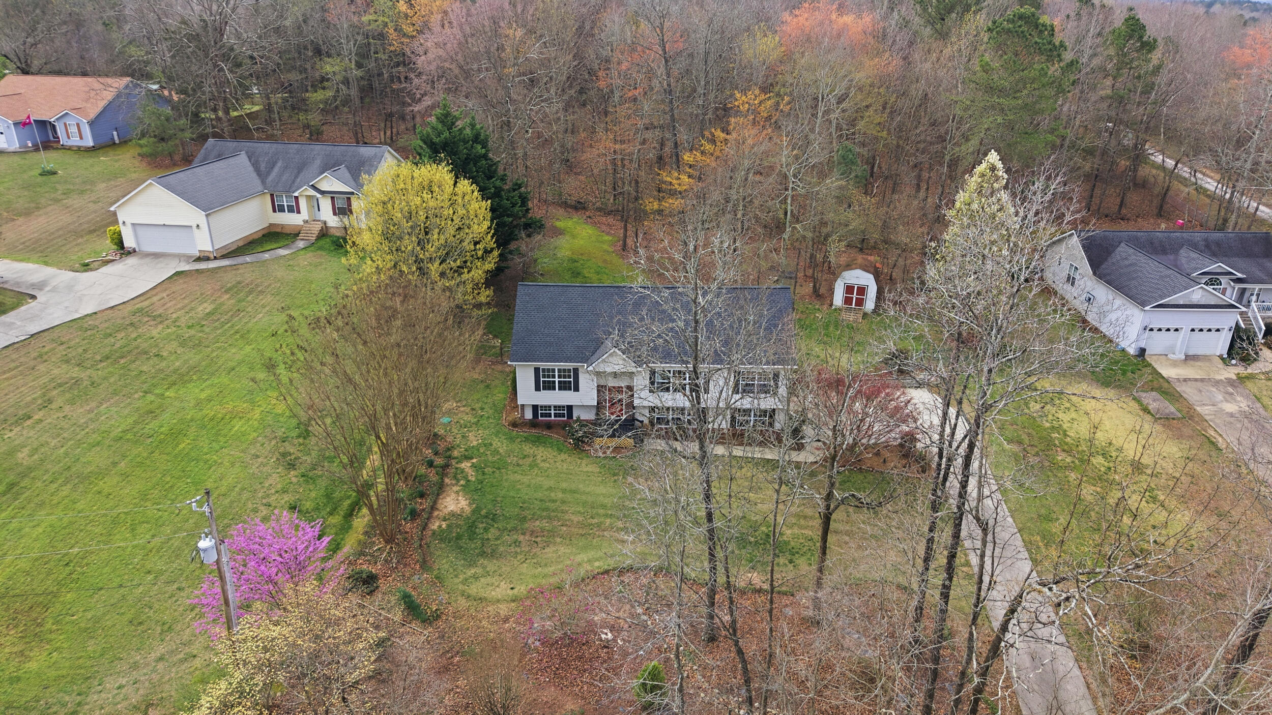 338 Condra Road Ringgold, GA 30736 - Photo 45 of 49 Wooded area for peaceful retreat